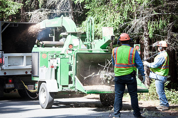 Best Lawn Watering Services  in Del Rey Oaks, CA